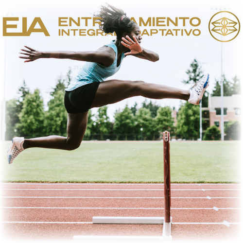 Imagen de Montaje corredora obstáculos